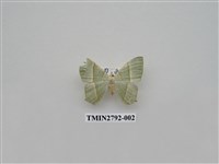 藏品(尺蛾369)的圖片